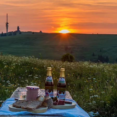 Traumwohnung Schluchsee, 2 Schlafzimmer, Blick Zum *