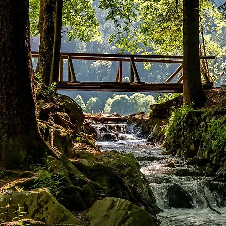 Traumwohnung Schluchsee, 2 Schlafzimmer, Blick Zum * Schluchsee