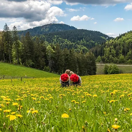 Traumwohnung Schluchsee, 2 Schlafzimmer, Blick Zum * 施卢赫湖